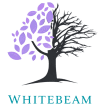 Whitebeam – hypnotherapy and wellbeing coaching, Co. Carlow